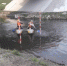 26042019-2.jpg - Гусевский городской округ