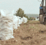 ВЫРАСТИ СВОЕ - Газета За доблестный труд