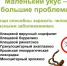 01042025.jpg - Гусевский городской округ