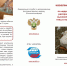 грипп птиц_01.jpg - Гусевский городской округ