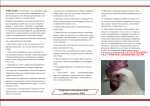 01042026-03.PNG